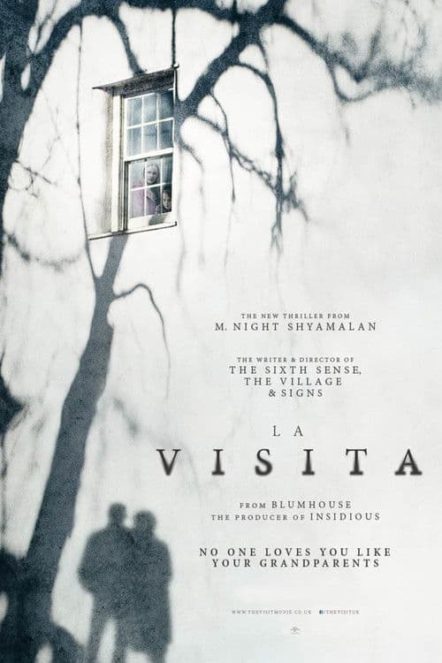 La visita (2015) — ver online gratis