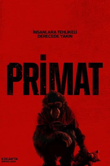 Primat (2026) — ücretsiz online izle