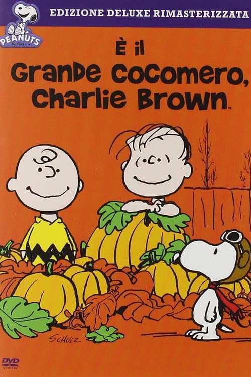 Aspettando il Grande Cocomero (1966) — guarda online gratis
